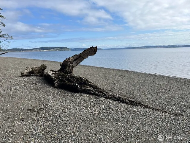 a view of swimming pool with a yard