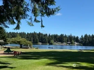 a garden with trees in front of it