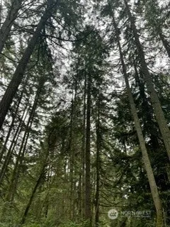 $33,000 | 11307 114th Ave Court, Anderson Island, WA 98303