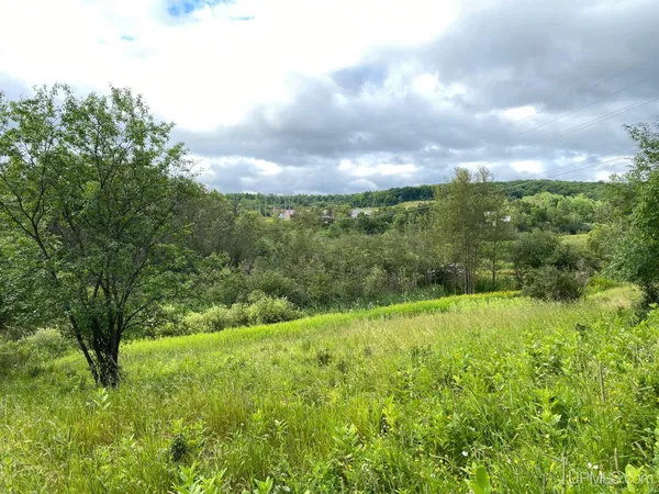 $6,000 | Tbd North 14th Street, Unit BLOCK 17 LOT 1 AND 2, Iron River, MI 49935