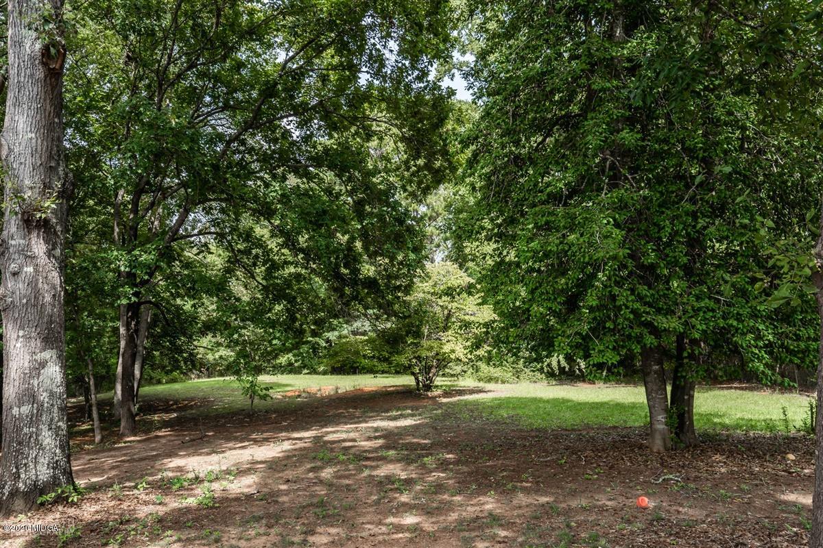 2985 Graham Road Gray, GA 31032 - Photo 25 of 30 a view of a tree in the middle of a yard