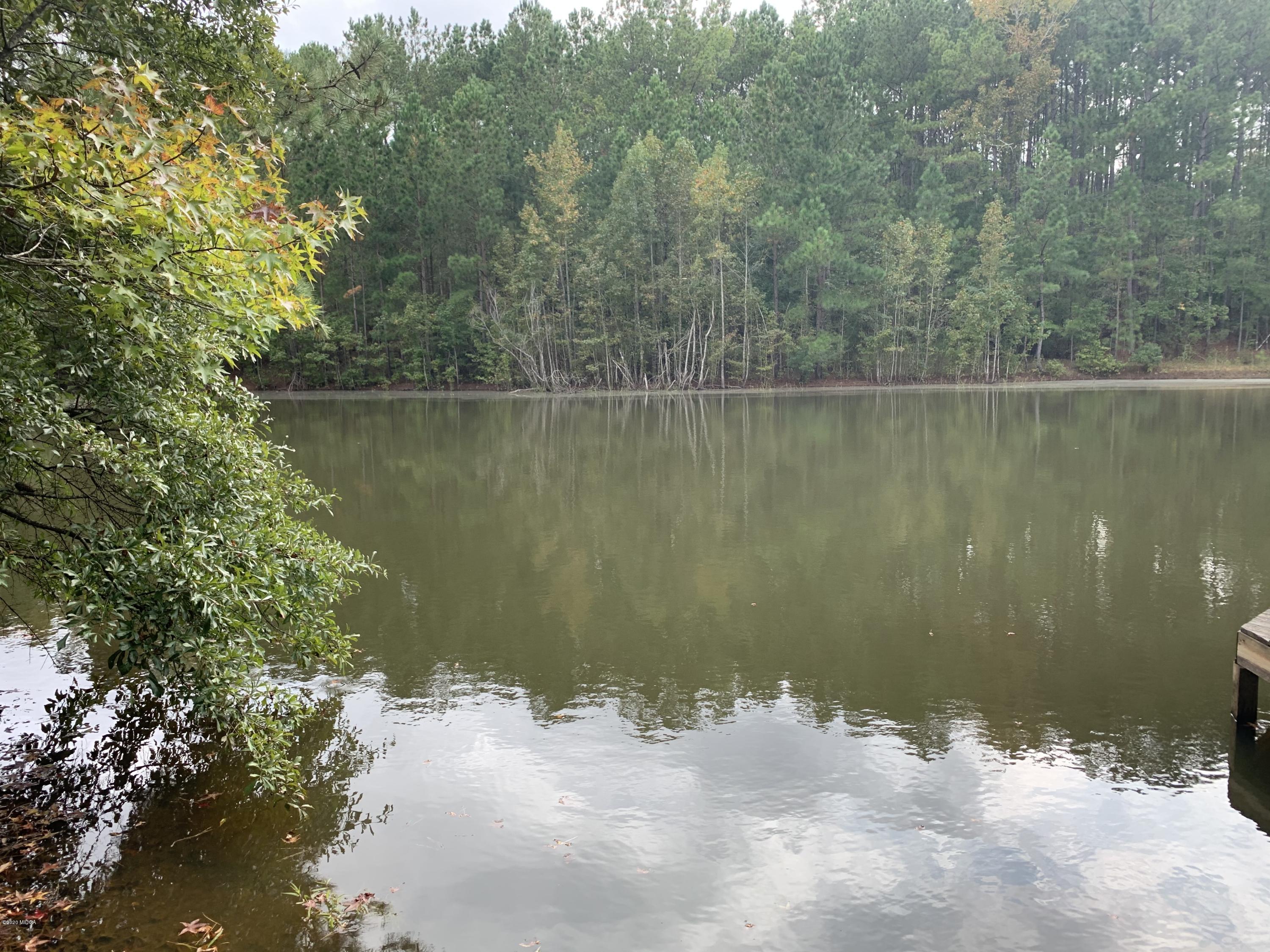 2985 Graham Road Gray, GA 31032 - Photo 28 of 30 a view of a lake from a yard