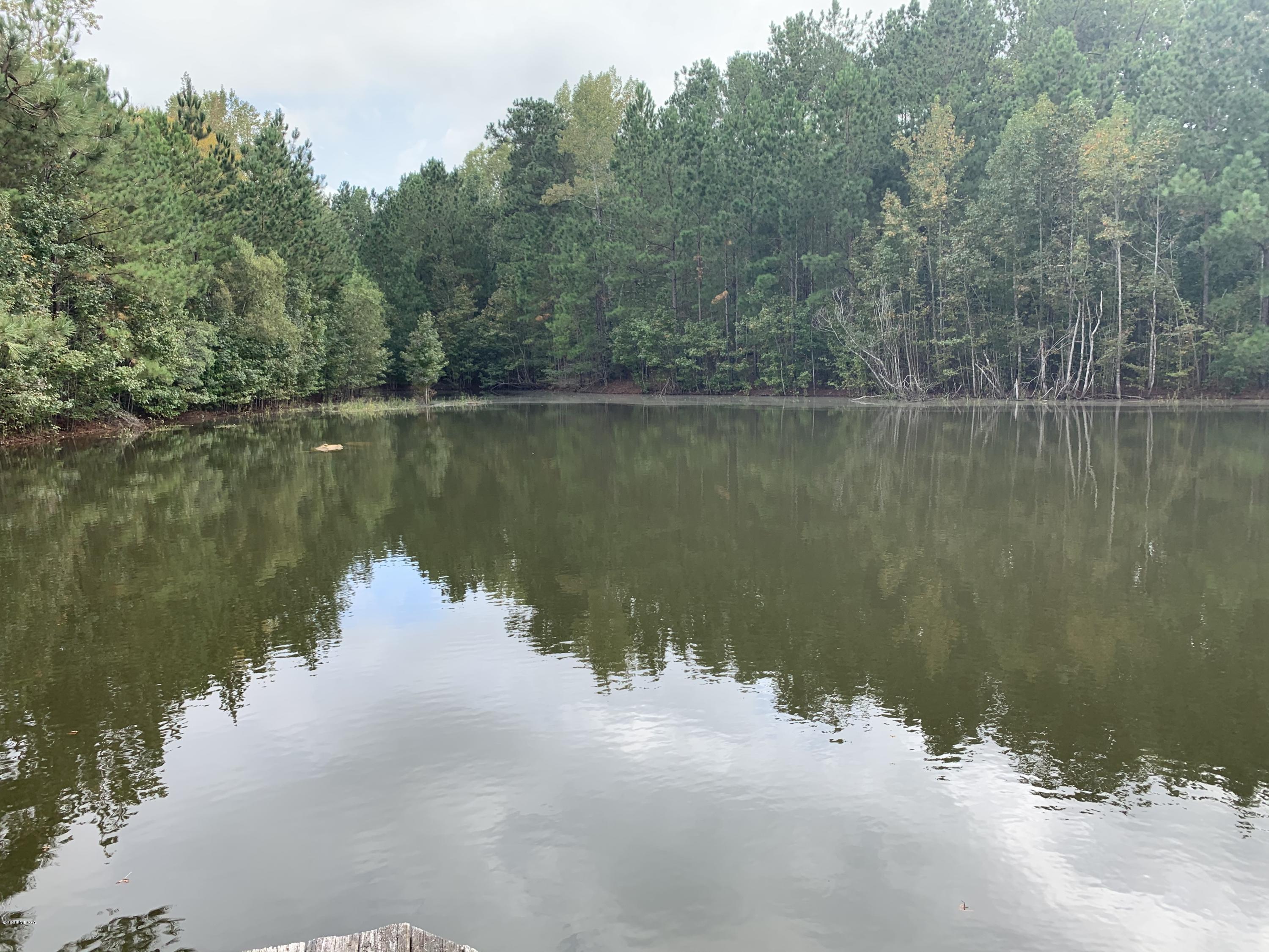 2985 Graham Road Gray, GA 31032 - Photo 29 of 30 a view of a lake
