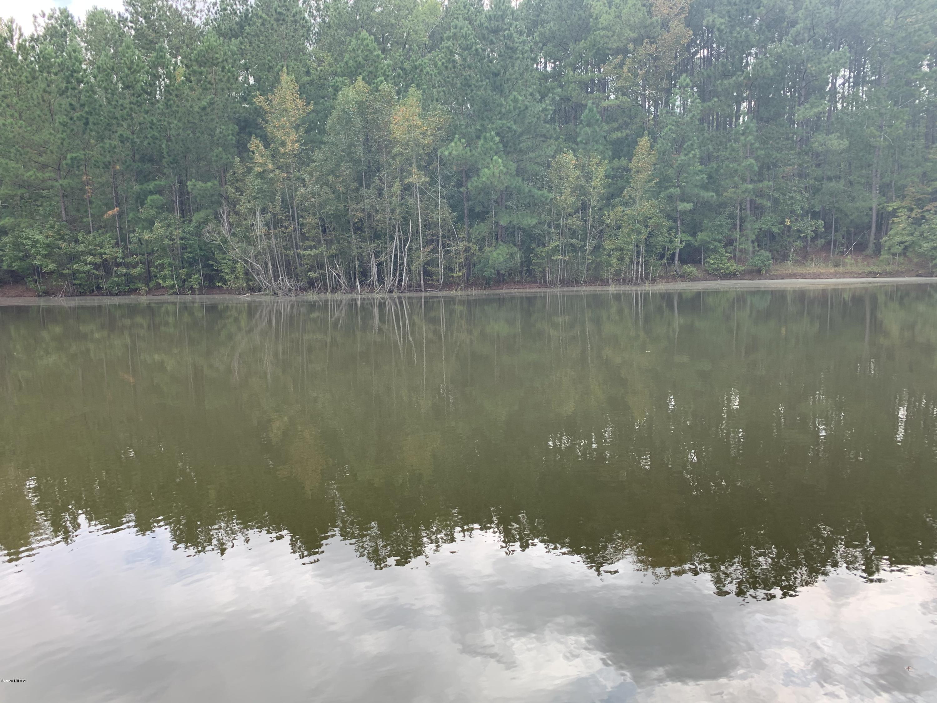 2985 Graham Road Gray, GA 31032 - Photo 30 of 30 a view of a lake from a yard