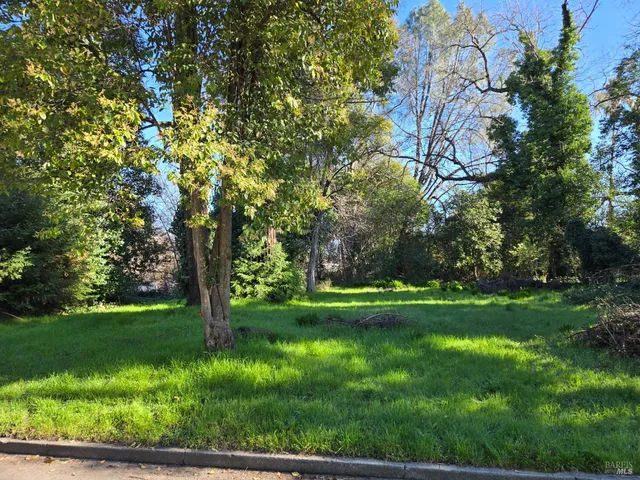 a view of a trees in a yard