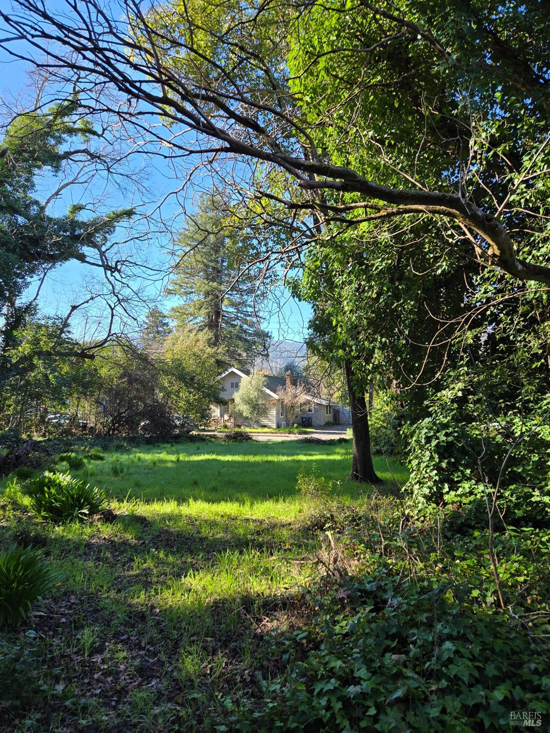 0 North School Street Ukiah, CA 95482 - Photo 17 of 20 a green field with lots of trees