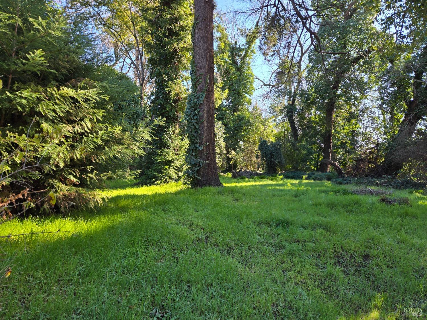 0 North School Street Ukiah, CA 95482 - Photo 3 of 20 a view of an outdoor space