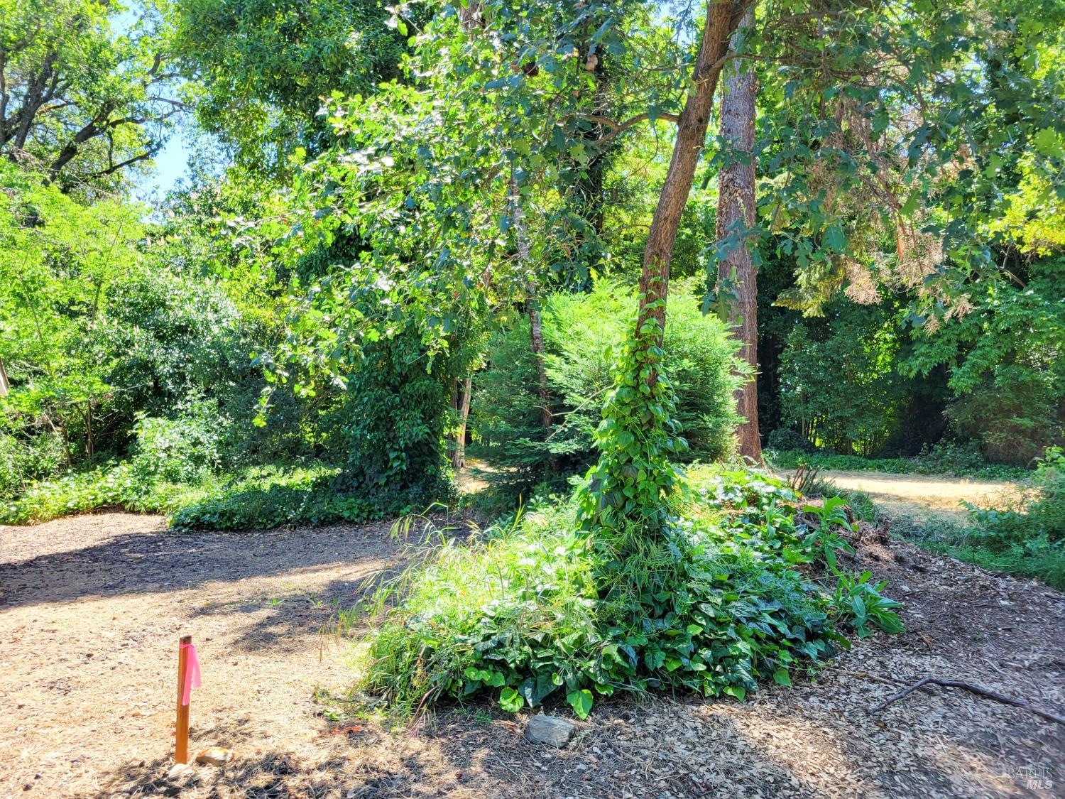 0 North School Street Ukiah, CA 95482 - Photo 5 of 20 a backyard of a house with lots of green space