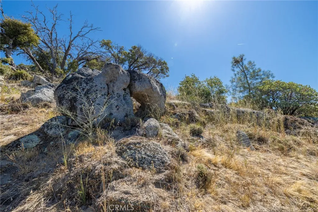 49 Old Yosemite Road Oakhurst, CA 93644 - Photo 17 of 41 Gallery Image 17