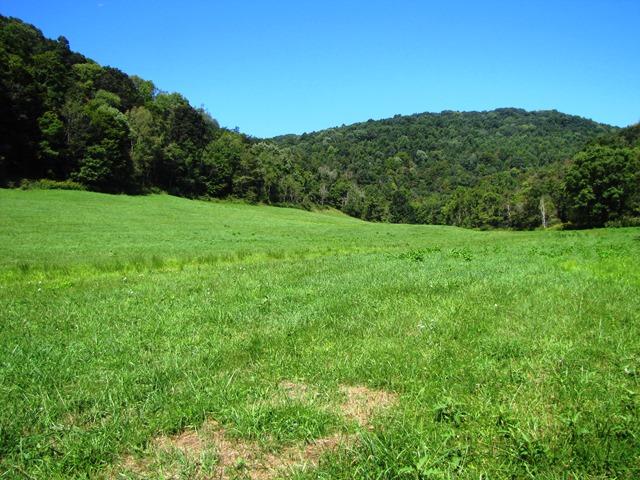 2402 Lillydale-Back Creek Road Union, WV 24983 - Photo 49 of 49 Gallery Image 49