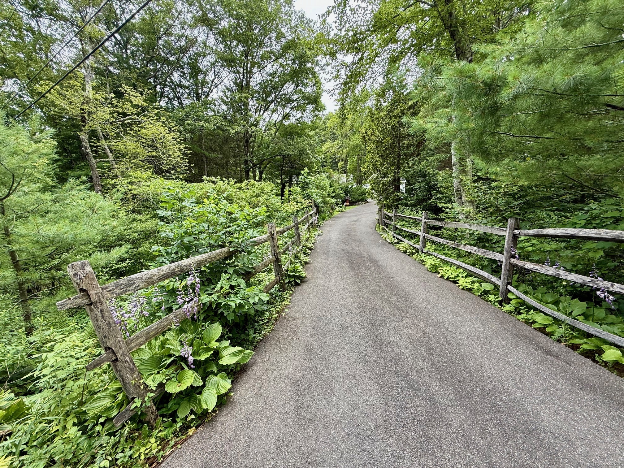 15 Laurel Mountain Road Warren, CT 06754 - Photo 1 of 1 Driveway