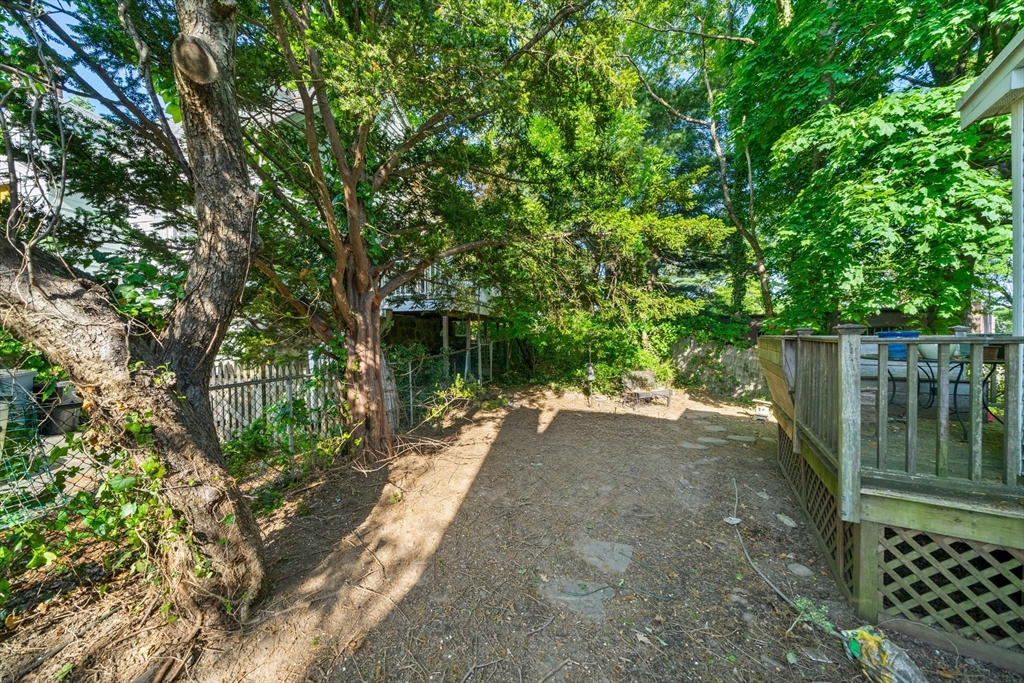 34 Wayburn Road Boston, MA 02130 - Photo 4 of 35 a view of a street with plants and large trees