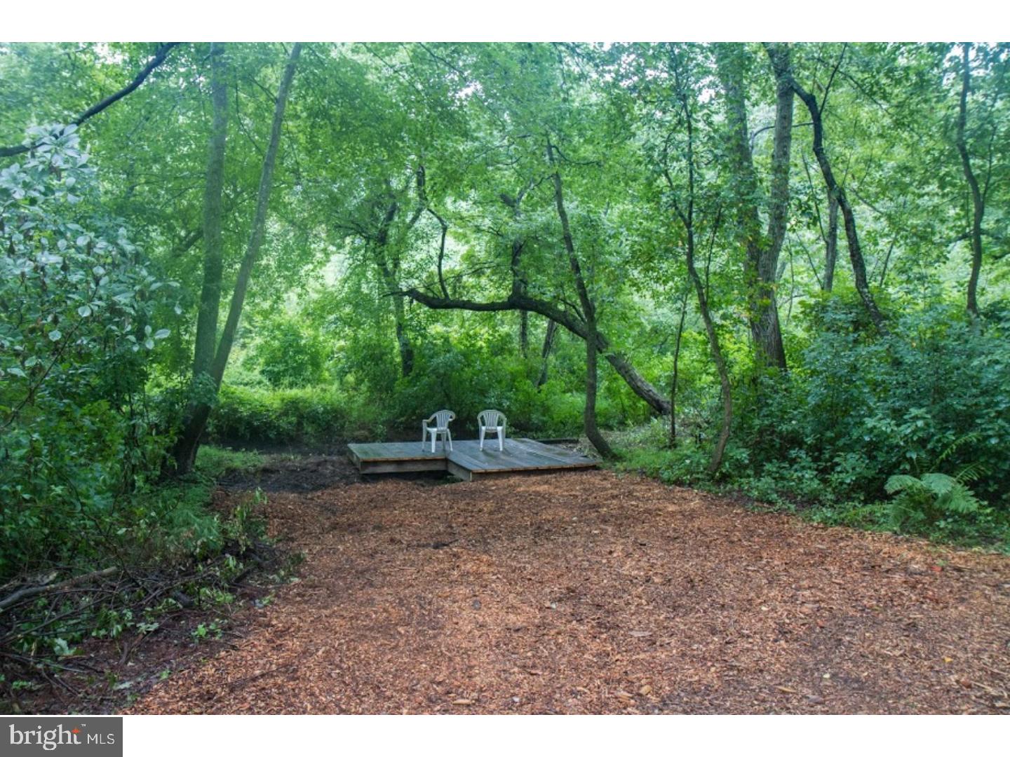 137 Pitman Downer Road Sewell, NJ 08080 - Photo 6 of 25 Back Yard