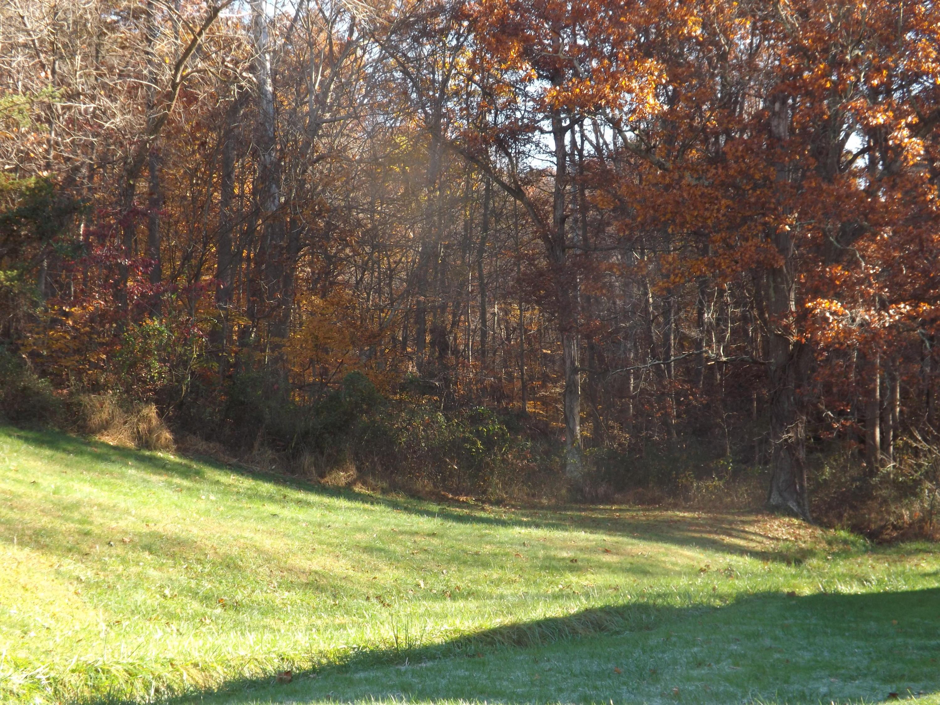 10904 Frasure-Helber Road Logan, OH 43138 - Photo 12 of 13