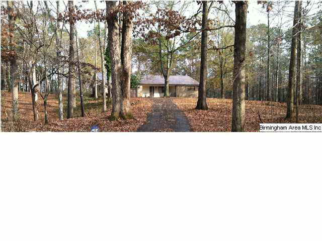 338 Miracle Hills Road Springville, AL 35146 - Photo 2 of 30 Gallery Image 2