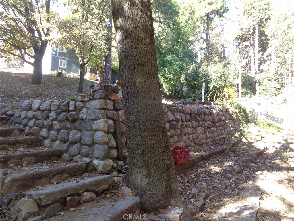 1021 Coulter Pine Road Crestline, CA 92325 - Photo 4 of 31 Front steps and parking