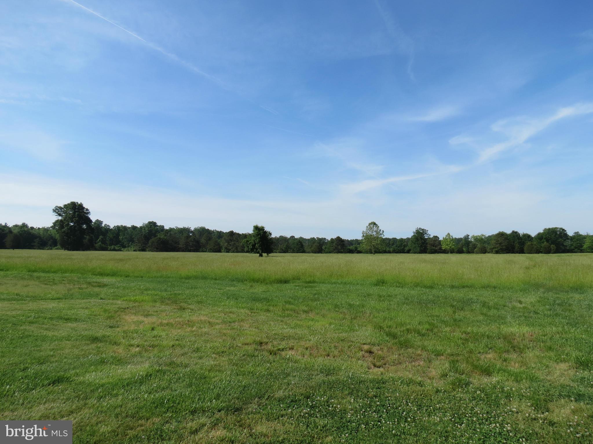 11148 Mitchell Road Rapidan, VA 22733 - Photo 3 of 20 View