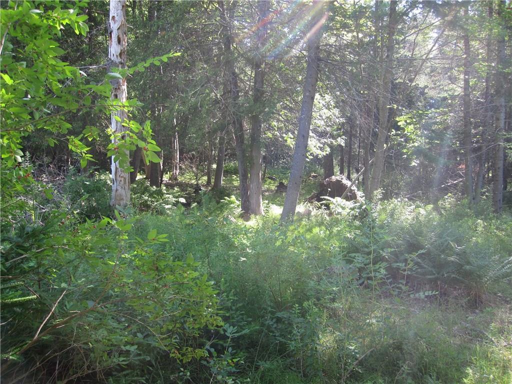 0 Johnson Mill Road Orrington, ME 04474 - Photo 6 of 6 Photo