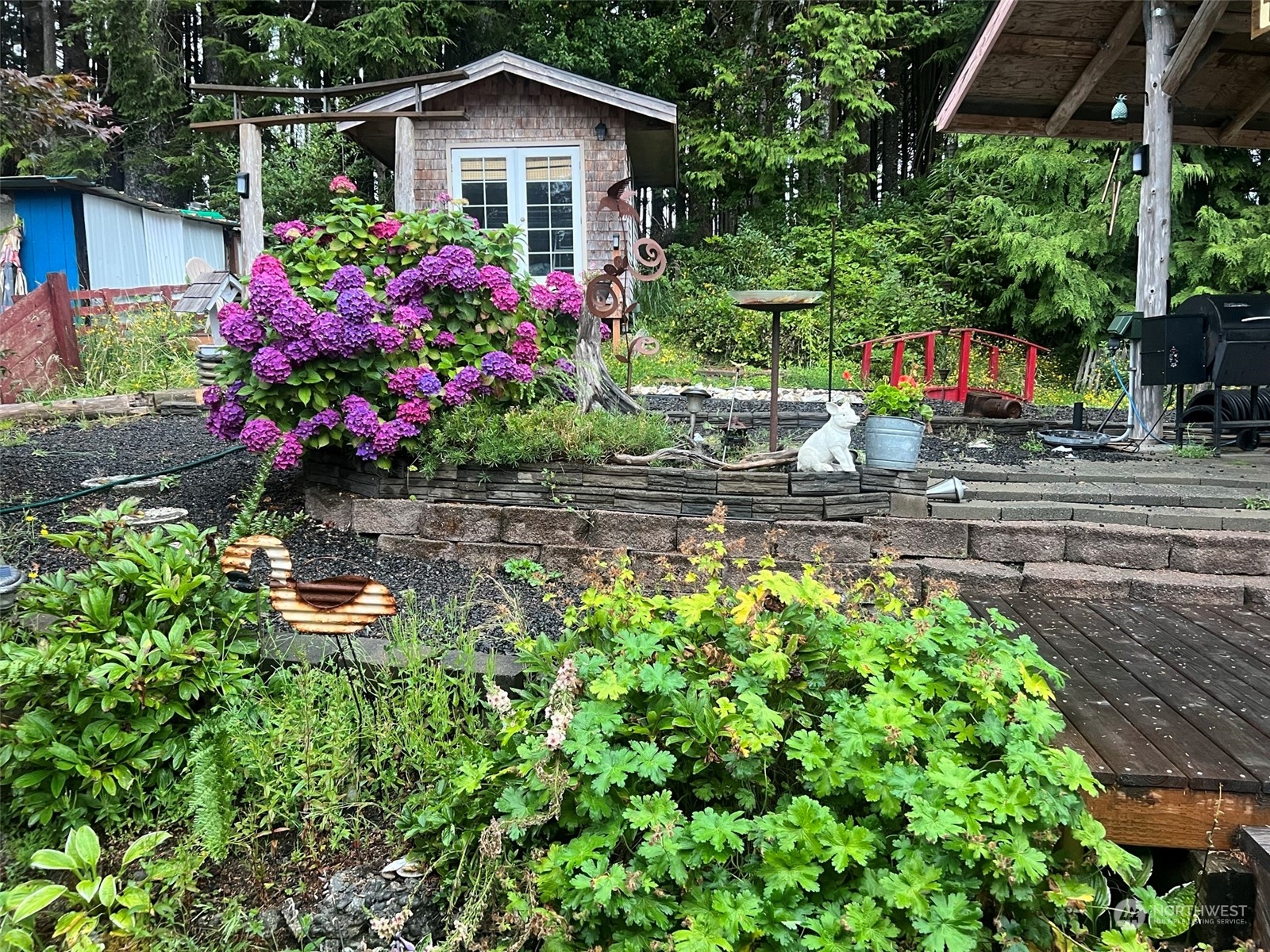 41 4th Street Pacific Beach, WA 98571 - Photo 4 of 23 a small garden covered with tall trees