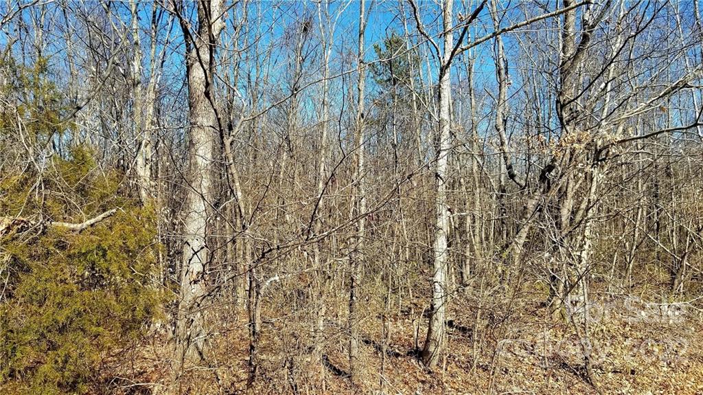 3492 River Road Hickory, NC 28602 - Photo 15 of 17