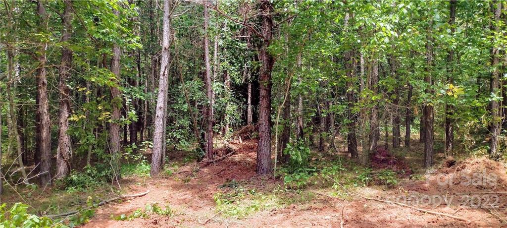 3492 River Road Hickory, NC 28602 - Photo 5 of 17 a view of outdoor space and green space