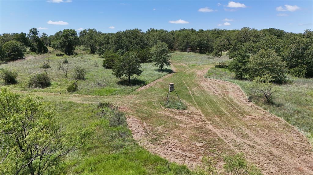 1216 Big Sandy Road Bellevue, TX 76228 - Photo 16 of 36 a view of a forest with trees in the background