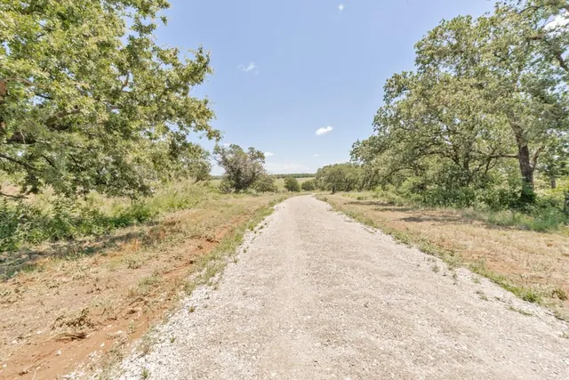 a view of a yard with plants and trees