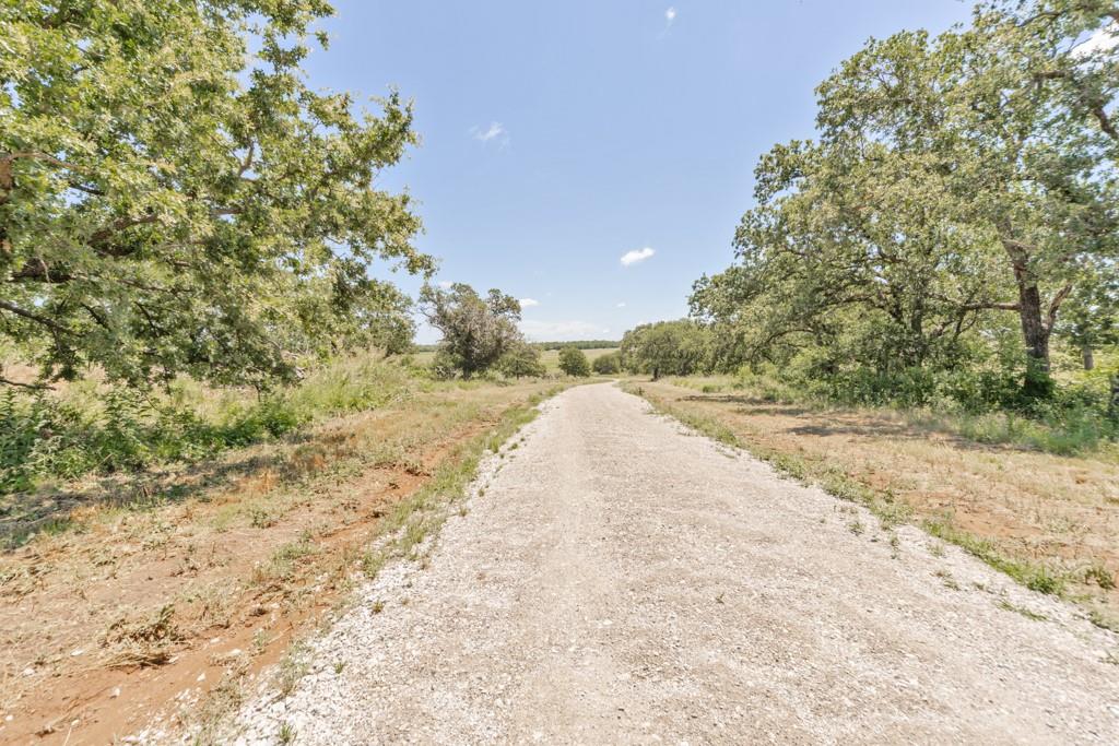 1216 Big Sandy Road Bellevue, TX 76228 - Photo 34 of 36 a view of a yard with plants and trees