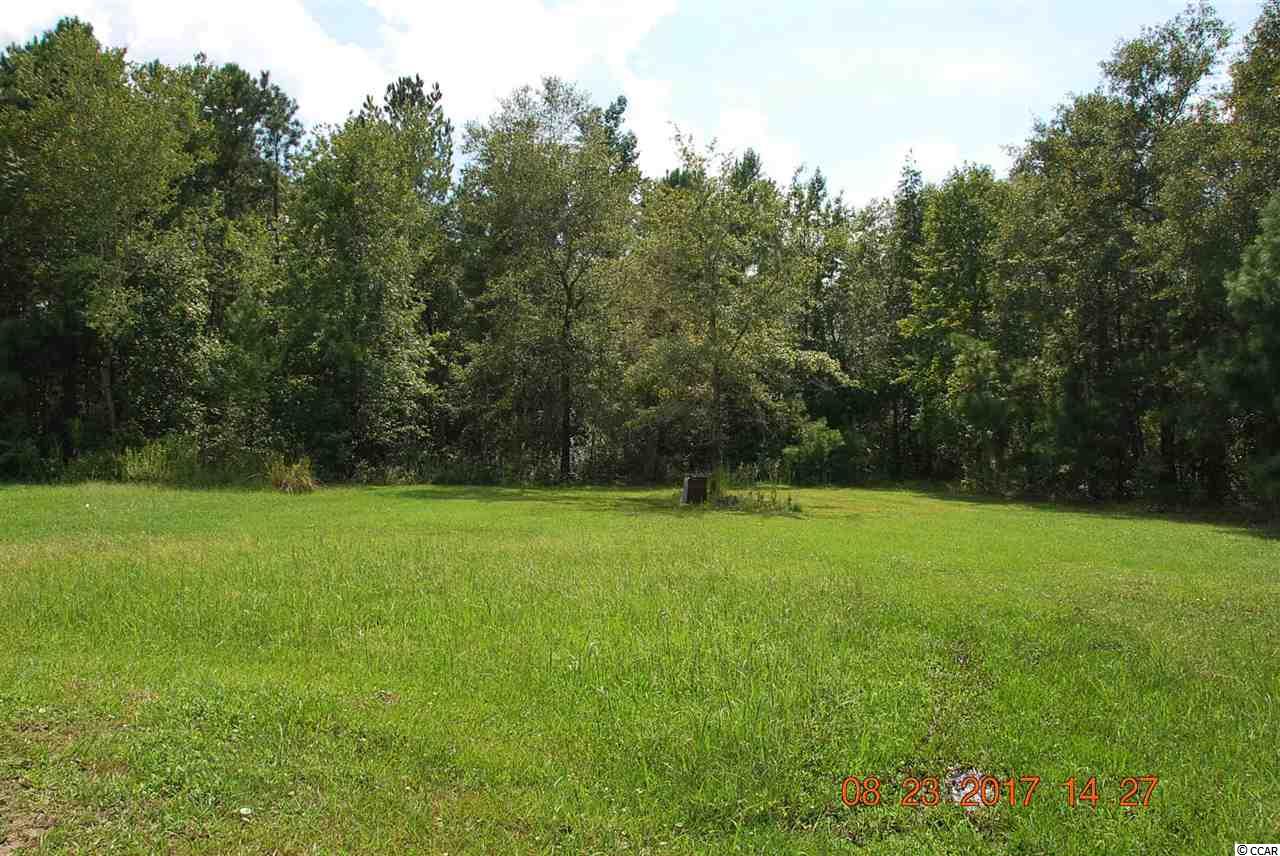 6468 Oak Grove Road Conway, SC 29527 - Photo 16 of 20 Gallery Image 16