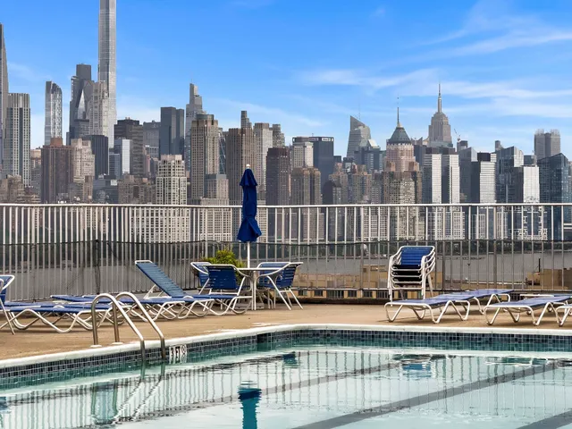 a view of a garden with a tree