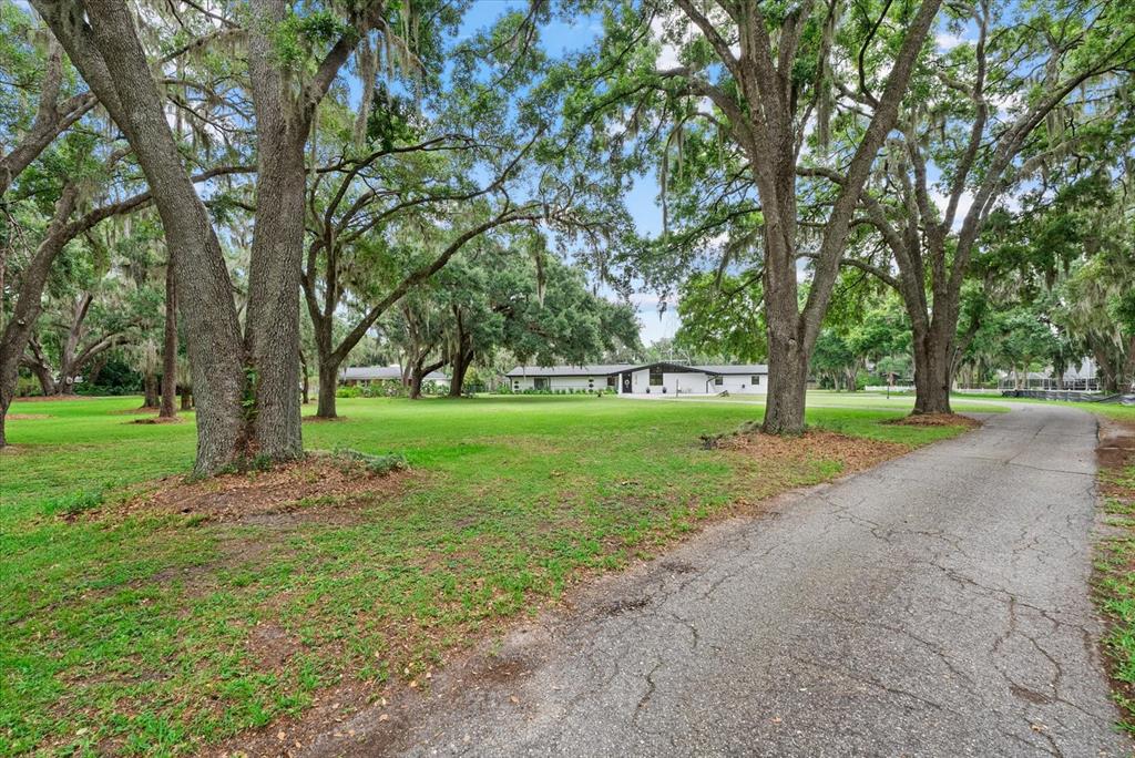 3518 Berger Road Lutz, FL 33548 - Photo 35 of 54