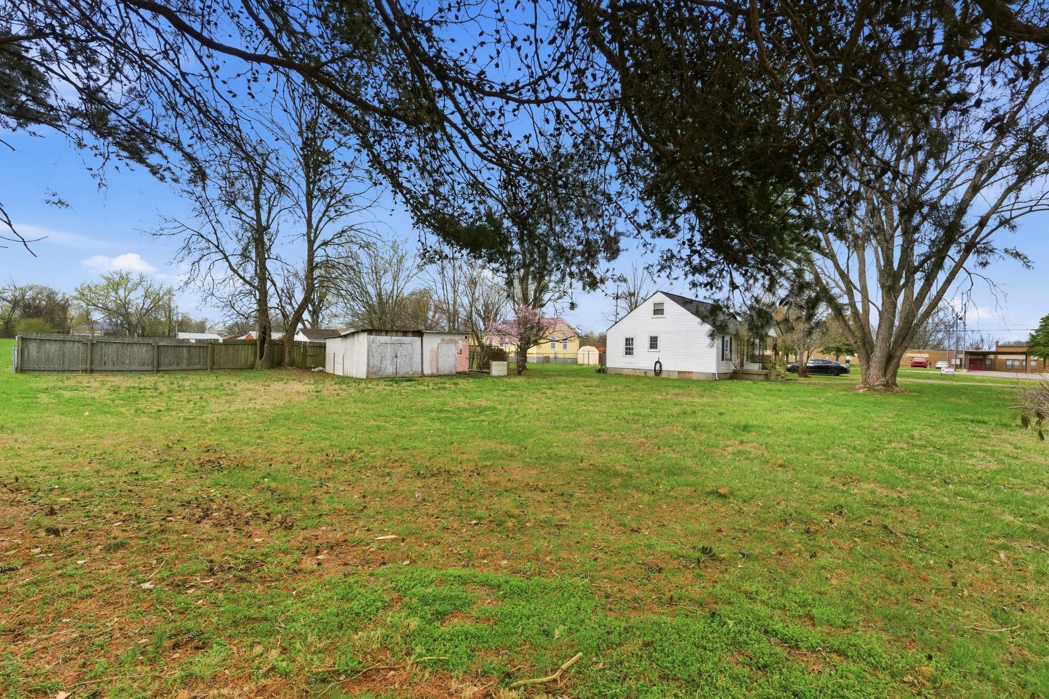 703 McCurdy Road White House, TN 37188 - Photo 5 of 26 a view of a field with tree s
