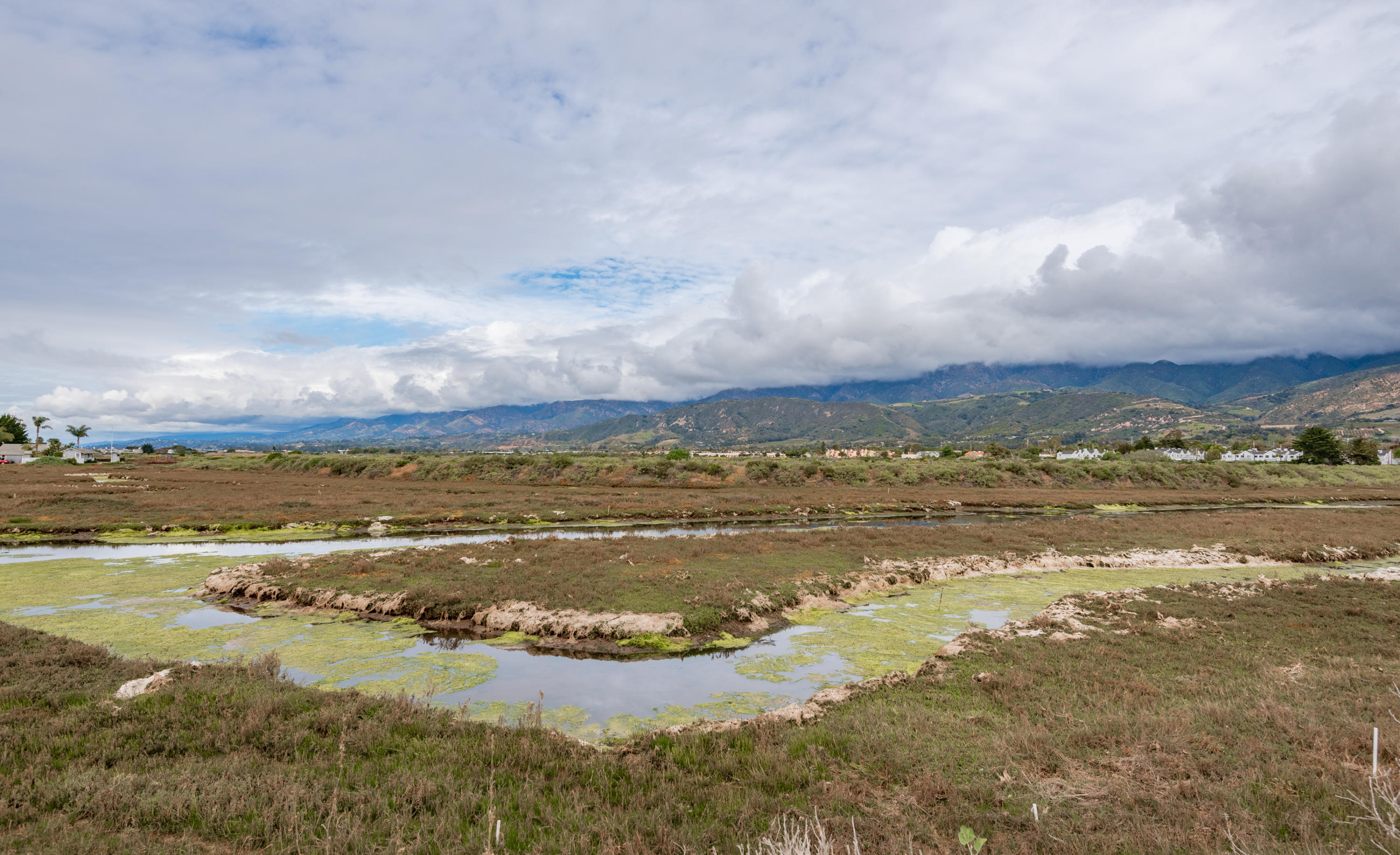 4700 Sandyland Road, Unit 2 Carpinteria, CA 93013 - Photo 21 of 24 Carpinteria Salt Marsh Natur