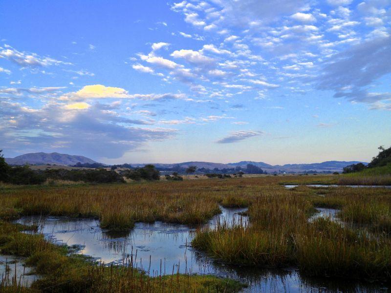 4700 Sandyland Road, Unit 2 Carpinteria, CA 93013 - Photo 22 of 24 Estuary Views