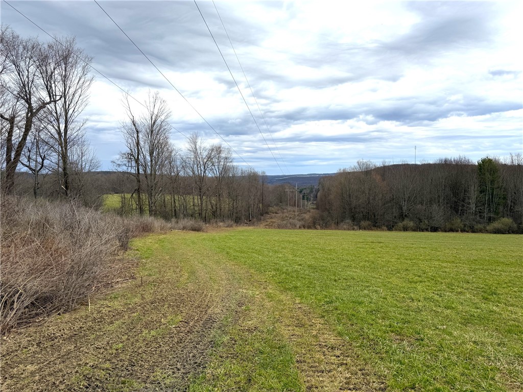 Lot 7 Summit Road Cuba, NY 14727 - Photo 10 of 31
