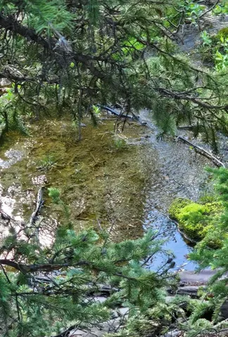 $309,000 | Democrat Mountain, Empire, CO 80438