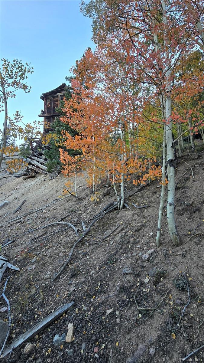 Democrat Mountain Empire, CO 80438 - Photo 2 of 16 a backyard of a house with lots of green space