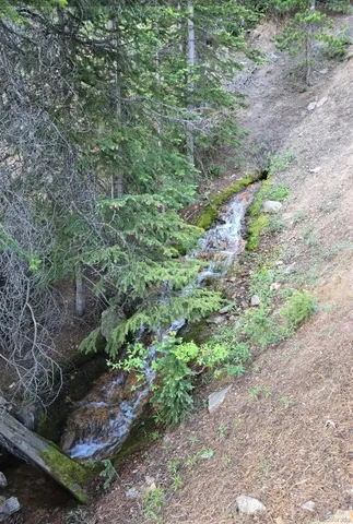 a view of a large yard with lots of green space