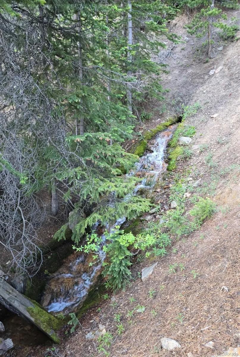 Democrat Mountain Empire, CO 80438 - Photo 3 of 16 a view of a large yard with lots of green space