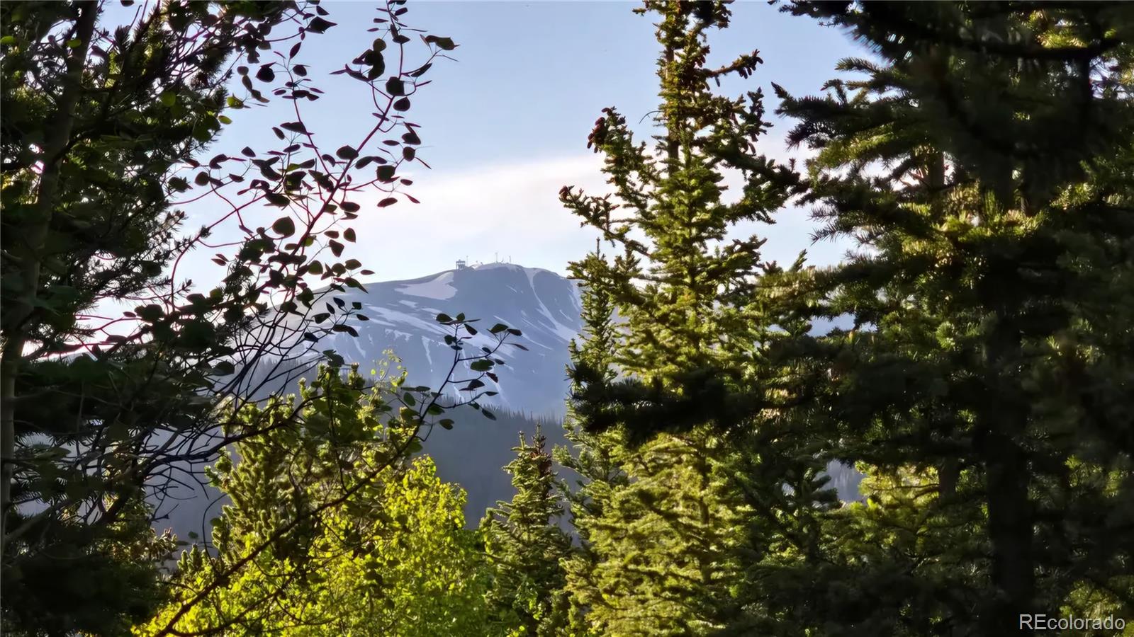 Democrat Mountain Empire, CO 80438 - Photo 4 of 16 a picture of tree