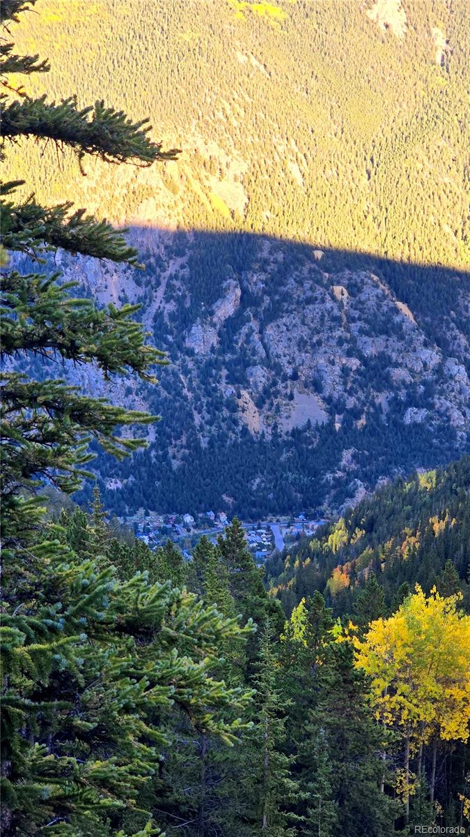 Democrat Mountain Empire, CO 80438 - Photo 5 of 16 a view of an outdoor space and a yard