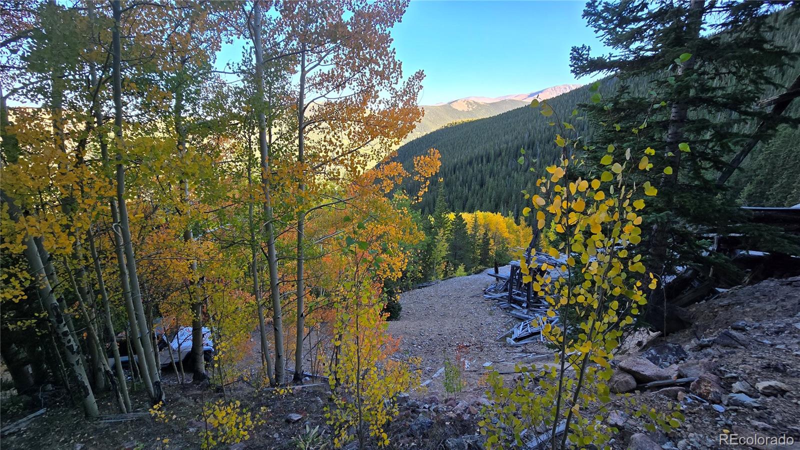 Democrat Mountain Empire, CO 80438 - Photo 8 of 16 a view of a garden with plants