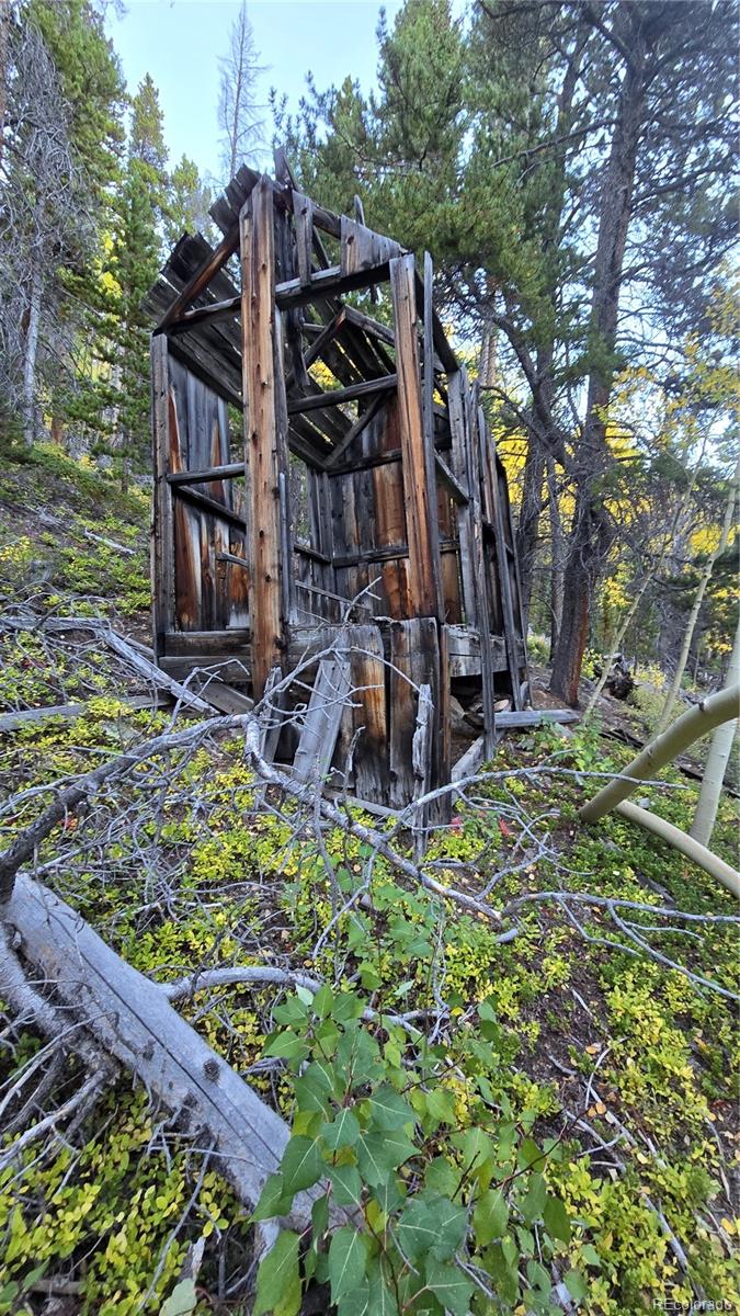 Democrat Mountain Empire, CO 80438 - Photo 9 of 16