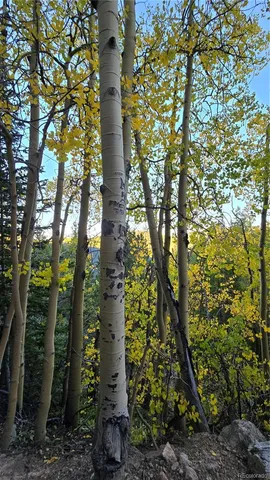 a view of a house with a mountain in the background