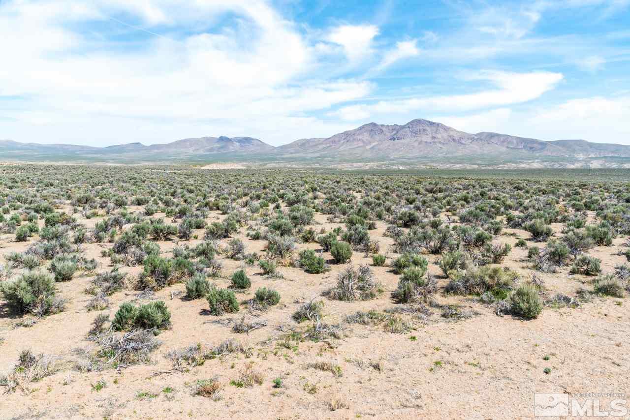 91 Wild Poppy, Unit 13 Smith, NV 89430 - Photo 12 of 13 Photo 12