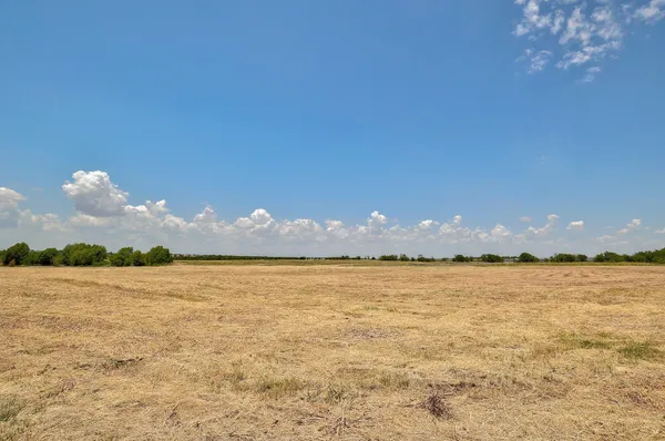a view of a backyard of the house