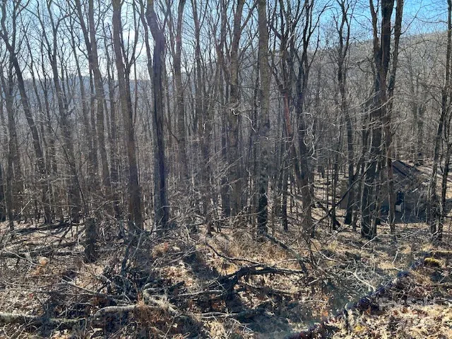 $25,000 | 337 Hamlin Lane, Unit 96, Burnsville, NC 28714