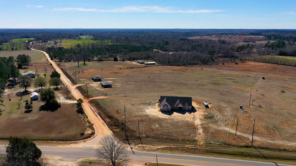 1132 Grant Road Slocomb, AL 36375 - Photo 6 of 14