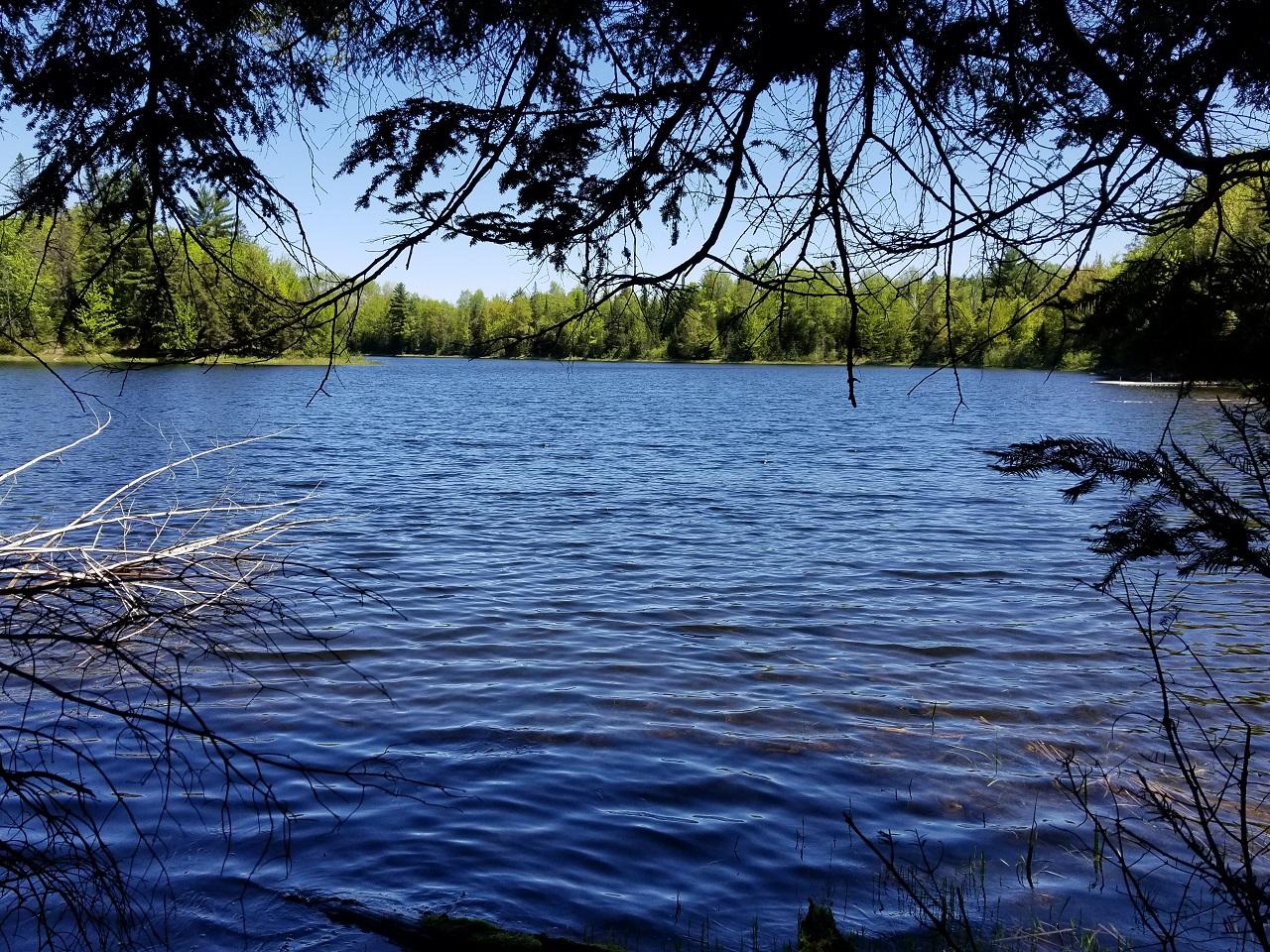 Lot 4 Pardee Lake Road Presque Isle, WI 54557 - Photo 8 of 25 Gallery Image 8