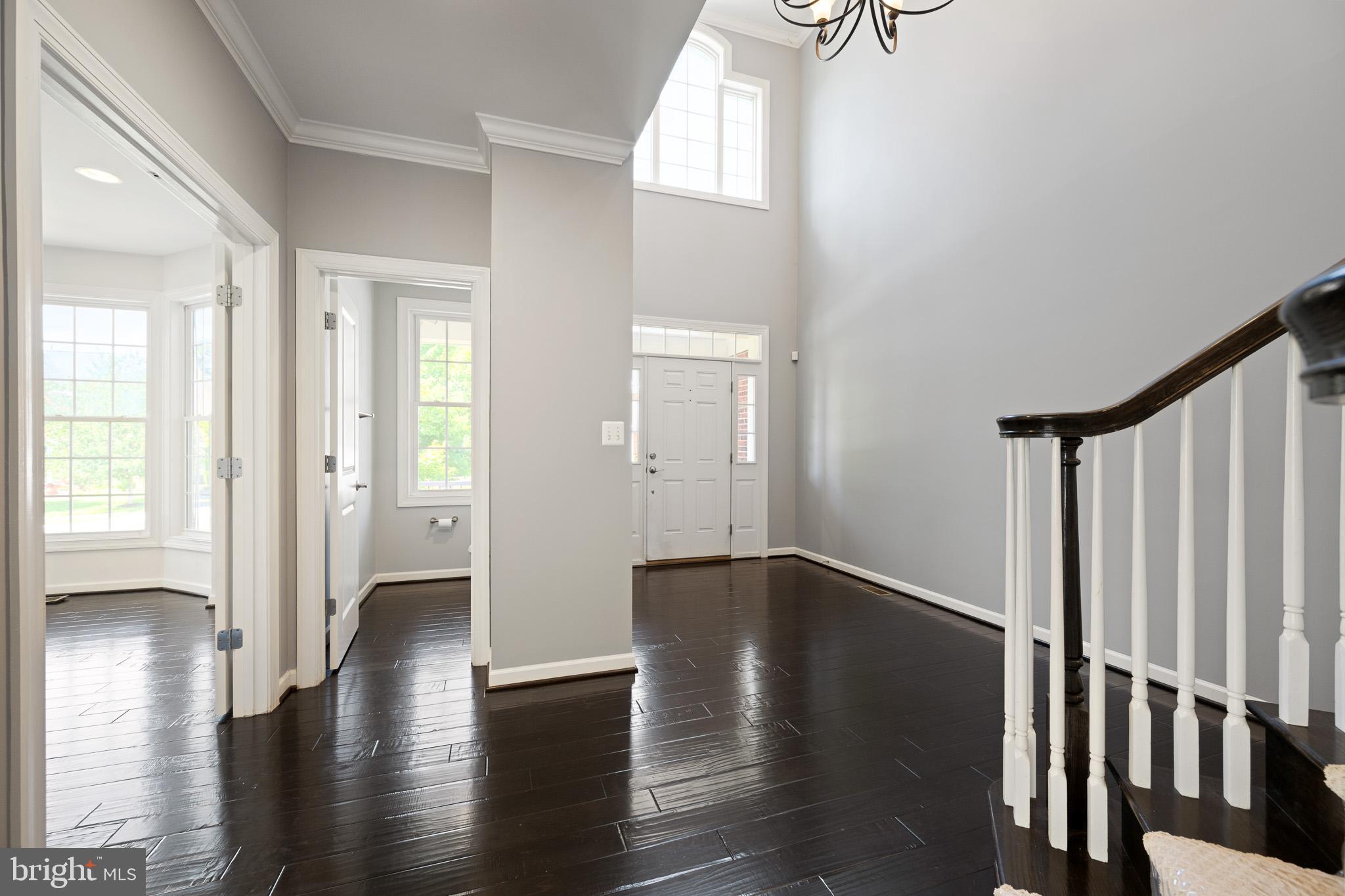 42387 Rising Moon Place Brambleton, VA 20148 - Photo 4 of 58